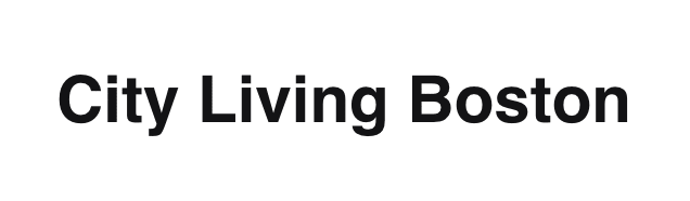 CITY LIVING BOSTON - Gifts for Dads and Grads - Anne Cate