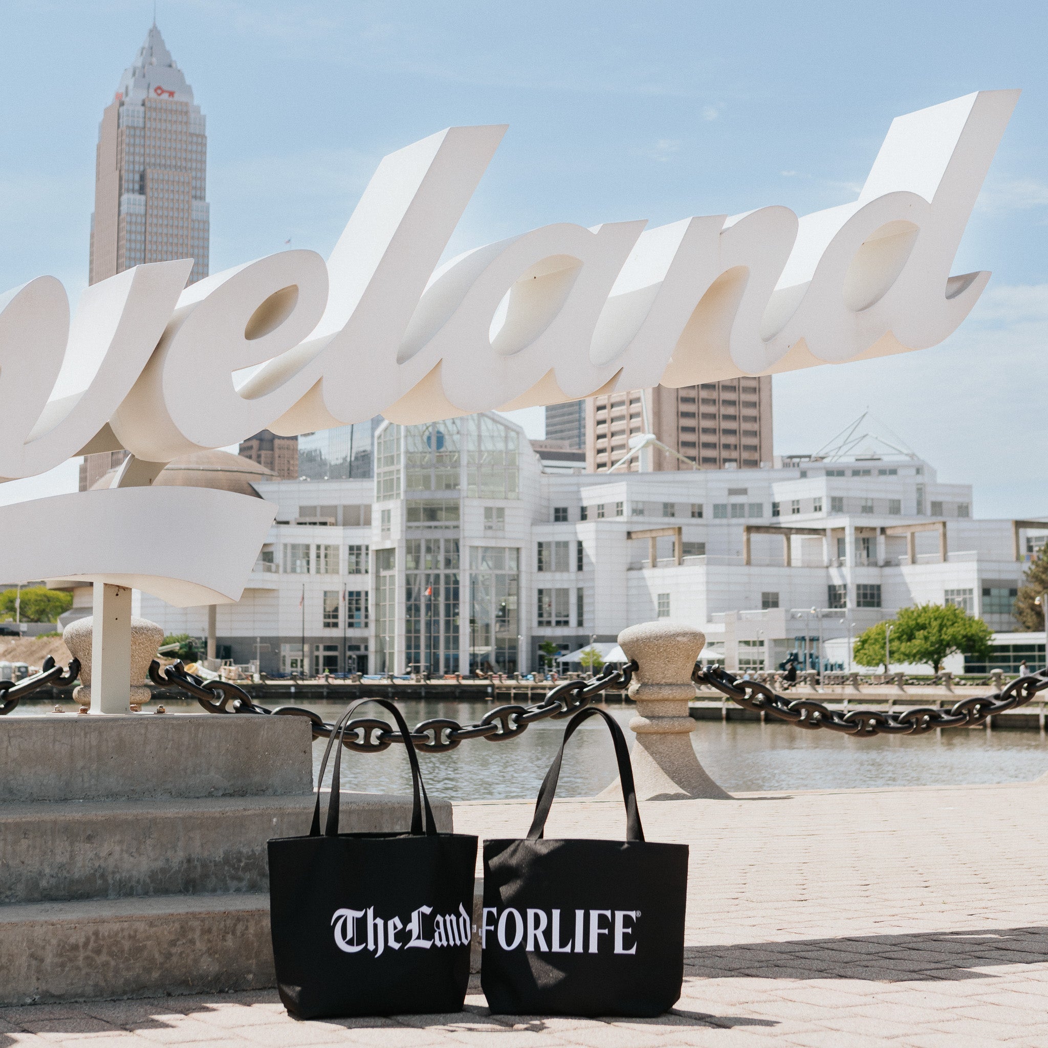 The Land For Life Canvas Everyday Tote - Anne Cate