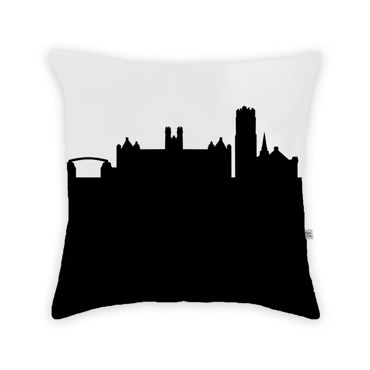 Gainesville FL (University of Florida) Skyline Large Throw Pillow